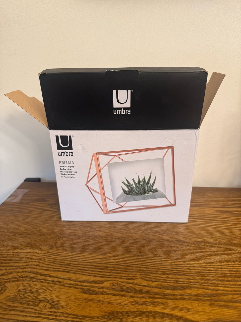 NIB Umbra Prisma 4x6 Geometric Floating Photo Frame - Copper